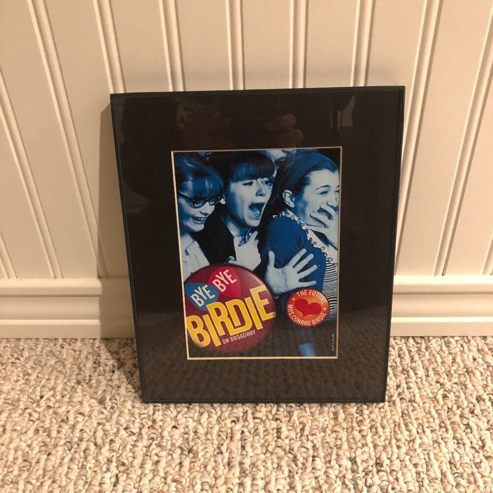Bye Bye Birdie Framed Broadway Poster 8X10